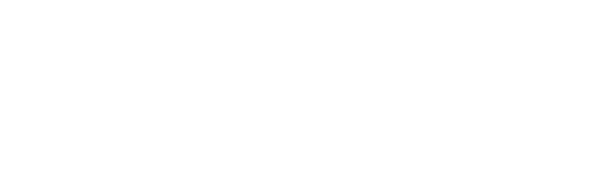 The Preiss Company Logo